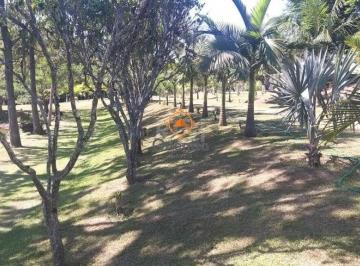 Rural · 4m² · 14 Quartos · Boletto Imóveis vende Sitio na RS, Com 7 casas, 2 comerciais, excelente local pa