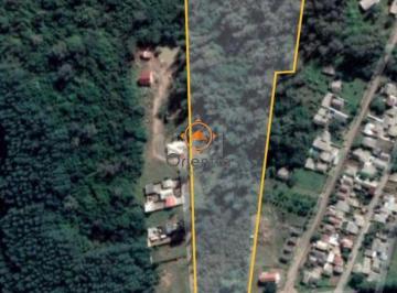 Terreno · 30205m² · Area para Venda - 32.204m², Lageado