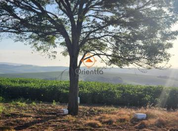 Rural · 2400000ha · 3 Quartos · 3 Vagas · Fazenda apenas 50 quilômetros de PORTO ALEGRE