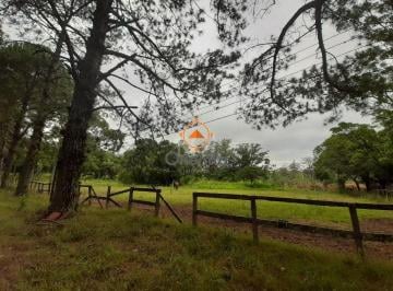Rural · 120217m² · Sítio para Venda - 120217m², 0 dormitórios, Campo Novo