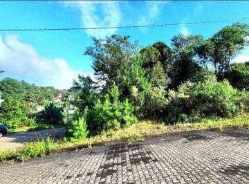 Terreno · 450m² · Terreno em Nova Petrópolis