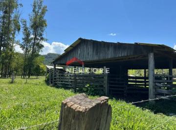 Rural · 50000m² · 1 Quarto · Sítio em Rua Geral Rio da Ilha - Centro - Três Coroas/RS