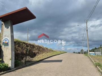 Terreno · 379m² · Lote em Rua Bb - Santa Isabel - São Francisco de Paula/RS