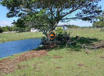 Rural · 6738m² · 2 Quartos · 1 Vaga · Excelente Sítio na Capital de 6.737,57 m2, Bairro Lami, Porto Alegre RS