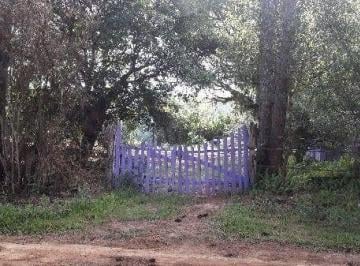.jpg+2025-03-05 · Terreno para Venda - 0m², 0 dormitórios, Lageado