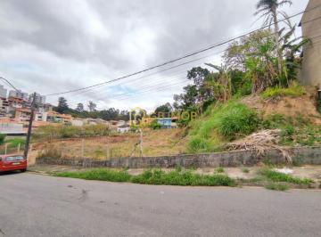 Terreno · 250m² · Lote em leve aclive de 250 m² Jardim Caçula