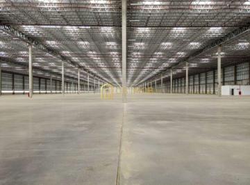 Comercial · 7475m² · Galpão na Rodovia Régis Bittencourt