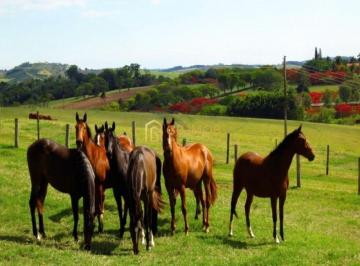 Rural · 1150m² · 8 Quartos · 4 Vagas · Haras à venda em Santo Antônio de Posse SP
