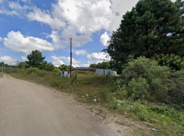 202601281949561235.jpg · Galpão para Venda em Canela, Distrito Industrial, 2 banheiros