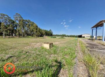 Terreno · 10000m² · Terreno com 10.000m ² de área com um galpão de 400m² de área construída - Bairro Água Branca