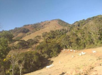 896b16256d948423f73fd0dd41ec935e64fbda08 · Linda Fazenda á venda na cidade de Carvalhos MG