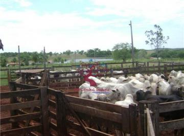 0 · fazenda à venda em Rural
