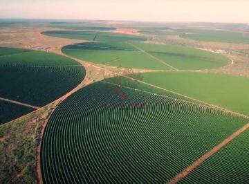 0 · fazenda à venda em Primavera