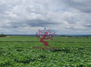 0 · fazenda à venda em Paulistânia