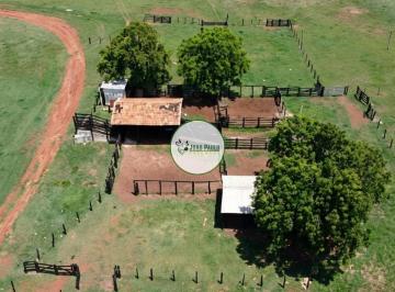 Rural · 363ha · Fazenda a venda em Mozarlândia-GO -363 Hectares - formada - 22 divisões de pasto - Próximo a JBS
