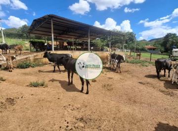 Rural de 3 quartos, Gama · Sítio á venda Gama acesso pela DF-190 - 54 Hectares - Ideal para pecuária, produção leite, lazer....