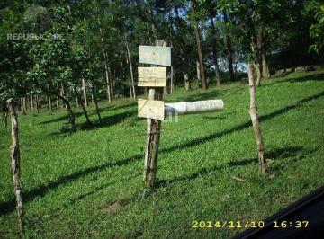 Terreno · 4200m² · Terreno para Venda - 0m², 0 dormitórios, Lomba do Pinheiro