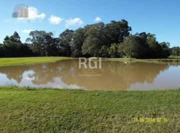 Terreno · 35000m² · Area para Venda - 35000m², 0 dormitórios, Centro