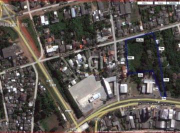Terreno · 8000m² · Terreno para Venda - 8000m², São Geraldo