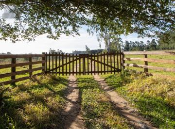Rural · 220ha · 3 Quartos · 3 Vagas · Rurais à venda - em Viamão