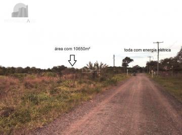 Terreno · 10650m² · Area para Venda - 10650m², 0 dormitórios, Balneário Atlântico