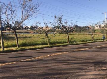 Terreno · 4704m² · Amplo terreno com 4.704m²