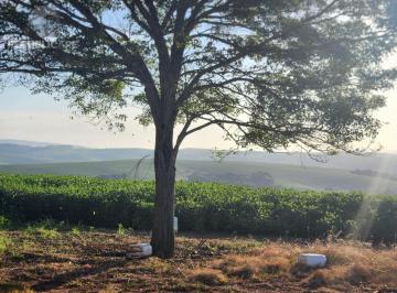 Rural · 2400000ha · 3 Quartos · 3 Vagas · Fazenda apenas 50 quilômetros de PORTO ALEGRE
