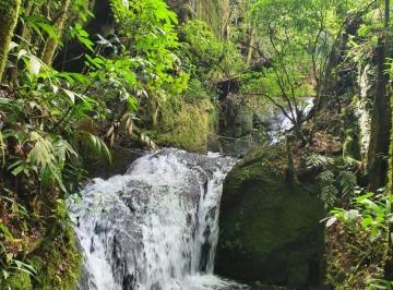 cachoeirinha · Casa - Bocaina de Minas