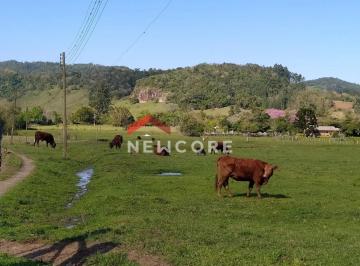 Rural · 400000m² · 1 Quarto · Sítio em Rua Tristão Monteiro - Centro - Taquara/RS