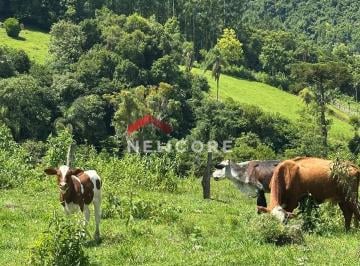 Rural 170000m² Venda Centro · Sítio em  Três Coroas - Centro - Três Coroas/RS