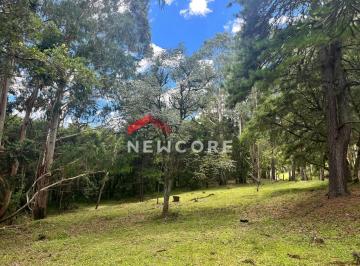 Rural · 5000m² · 1 Quarto · Chácara em São Chico - Salto Eletra - São Francisco de Paula/RS