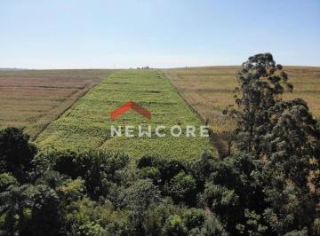 Rural · 60m² · 1 Quarto · 6 Vagas · Sítio em Estrada São Domingos - Jardim São Domingos - Maringá/PR