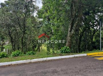 Terreno · 576m² · Lote em  Rua Bracatinga - Colinas - São Francisco de Paula/RS