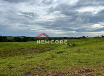 Rural · 2000000m² · Fazenda em Cambará - Centro - Cambará/PR