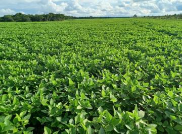 Imagem 1 · Fazenda