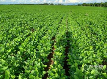Imagem 1 · Fazenda para venda em Água Boa