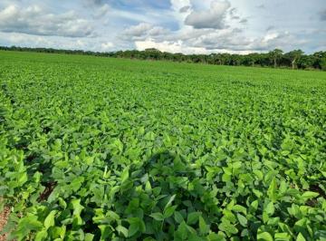 Imagem 1 · Fazenda