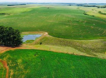 Imagem 1 · Fazenda