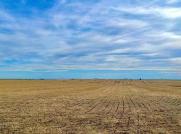 Imagem 1 · Fazenda