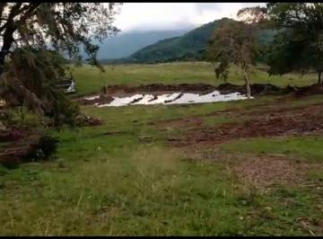 Imagem 1 · Fazenda