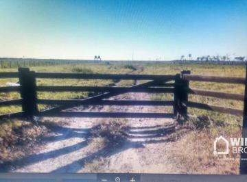 Imagem 1 · Fazenda