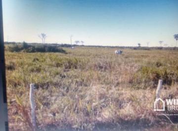 Imagem 1 · Fazenda