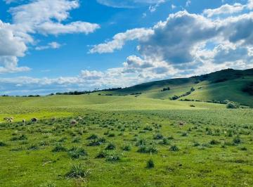 Imagem 1 · Fazenda