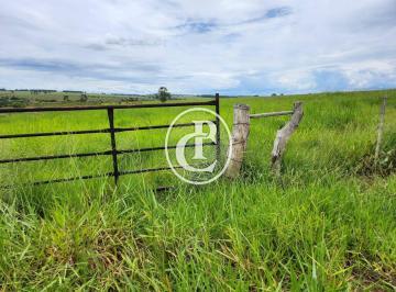 Imagem 1 · Fazenda
