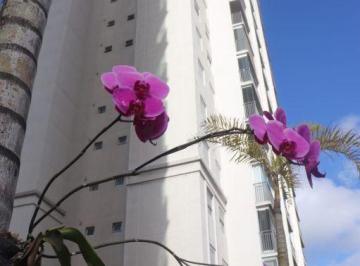 venda-2-dormitorios-vila-anastacio-sao-paulo-1-7907974.jpeg · Imoveis - na Vila Anastácio