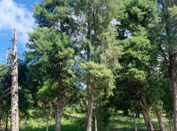 Terreno · 761m² · Terrenos à venda em São José dos Campos-SP, 4 lotes no bairro Chácaras Pousada do Vale