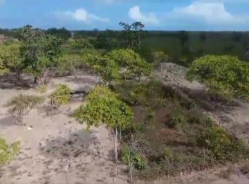 Terreno , Cruz · Terreno próximo a Praia do Preá Beach