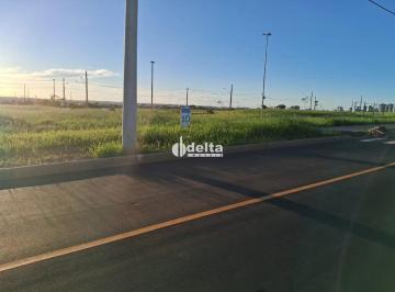 Terreno · 250m² · Terreno disponível para venda o no bairro Ecopark em Uberlândia-MG