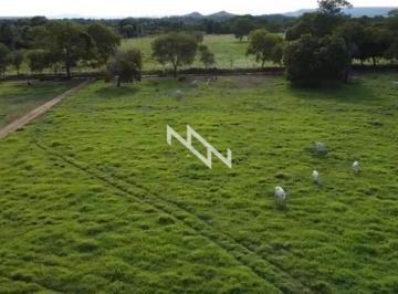Rural · 179ha · Fazenda com 179 Hectares - Porto Nacional - Tocantins