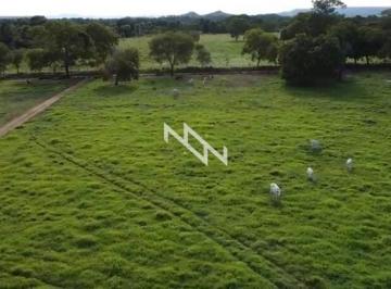 Rural · 179ha · Fazenda com 179 Hectares - Porto Nacional - Tocantins